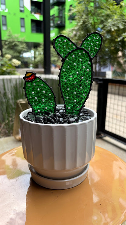 Cactus Friend