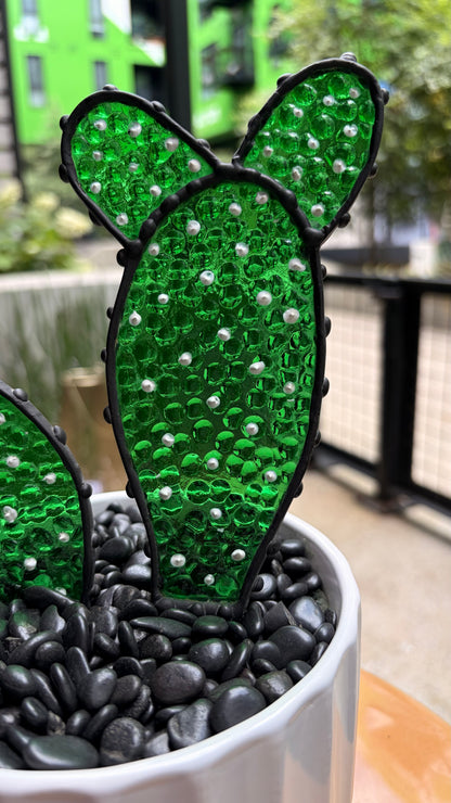 Cactus Friend