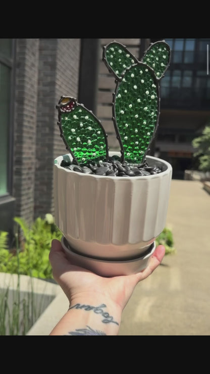 Cactus Friend