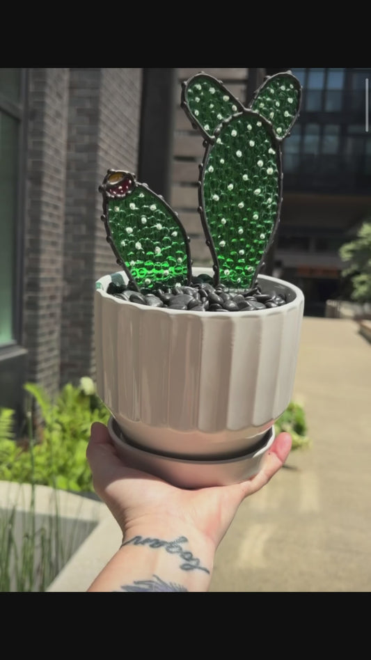 Cactus Friend